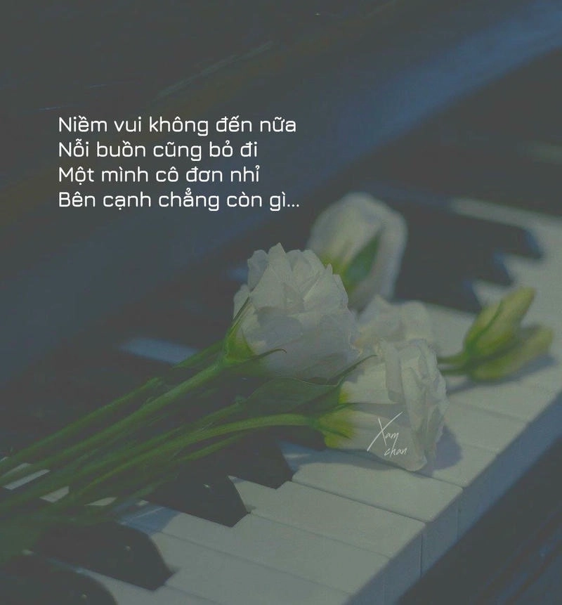 Khám phá avatar buồn tâm trạng cô đơn thể hiện nỗi buồn sâu lắng