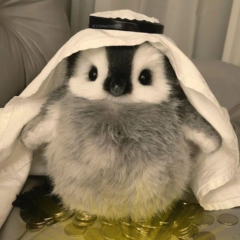 Khám phá ngay avatar chim cánh cụt cute siêu dễ thương cho mọi tài khoản