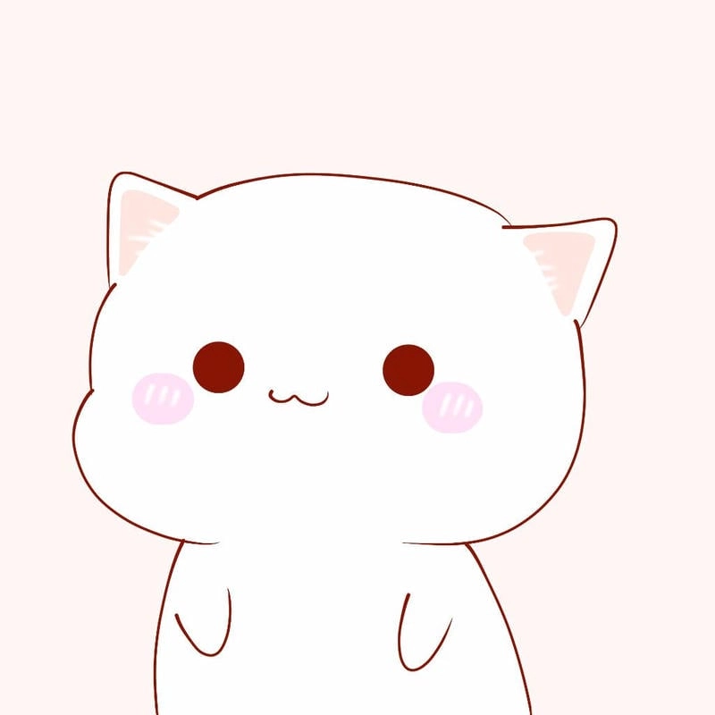 Tạo avatar cute mèo siêu đáng yêu để làm avatar cat