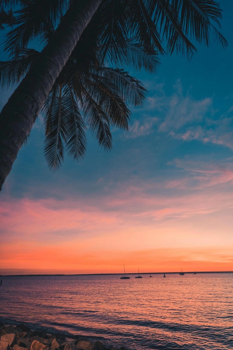 Hòa mình vào avatar thiên nhiên chill đầy sắc màu và cảm xúc bình yên