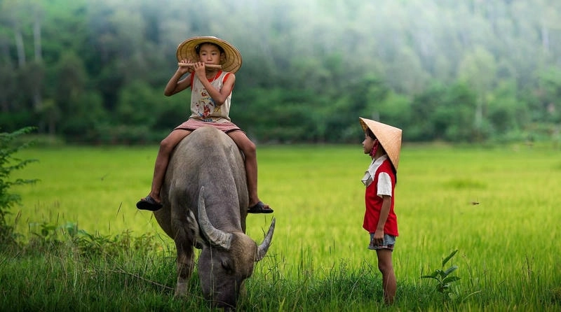 Khám phá avatar cho người hướng nội thể hiện cá tính tinh tế và cuốn hút