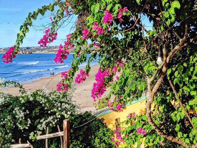 Tìm avt người hướng nội thể hiện nét trầm lắng đầy cảm xúc