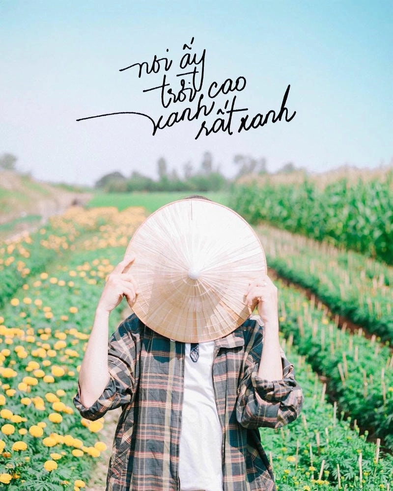 Khám phá avatar tối giản cho introvert thể hiện phong thái nhẹ nhàng