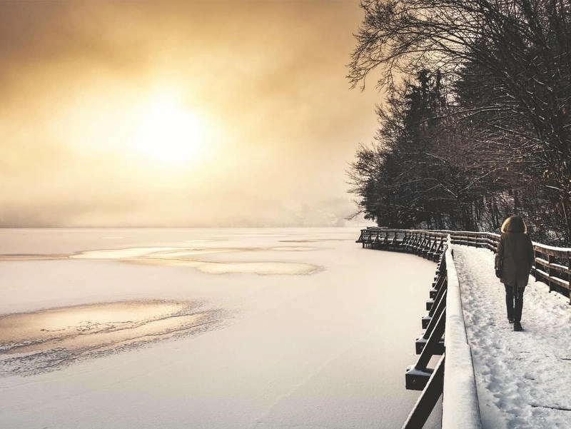 Khám phá hình avatar buồn cô đơn để thể hiện tâm trạng