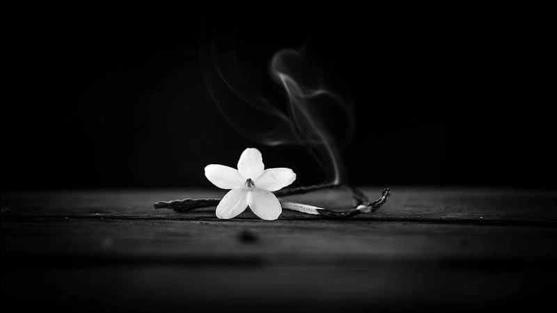 Tải avatar anime đen trắng phong cách cá tính