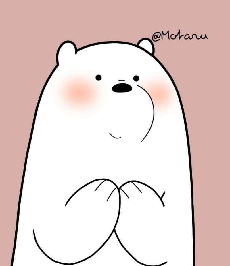 Trang trí tài khoản với hình avatar gấu trắng đáng yêu