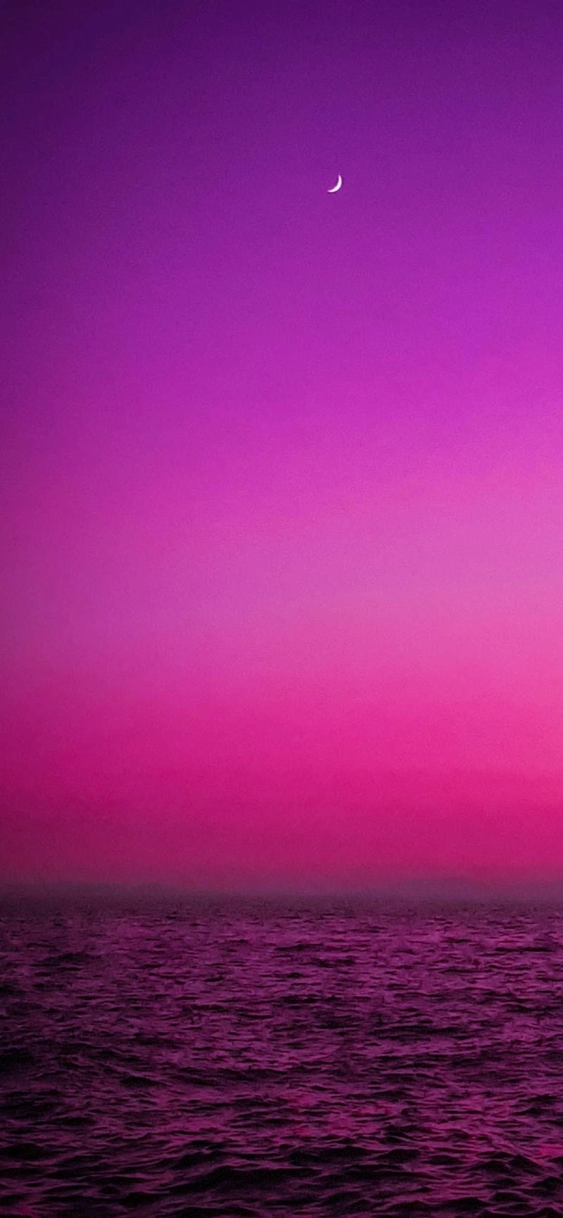 Bộ sưu tập con gái avatar màu tím cute nổi bật