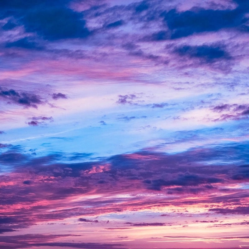 Tải anime avatar màu tím cute cực dễ thương