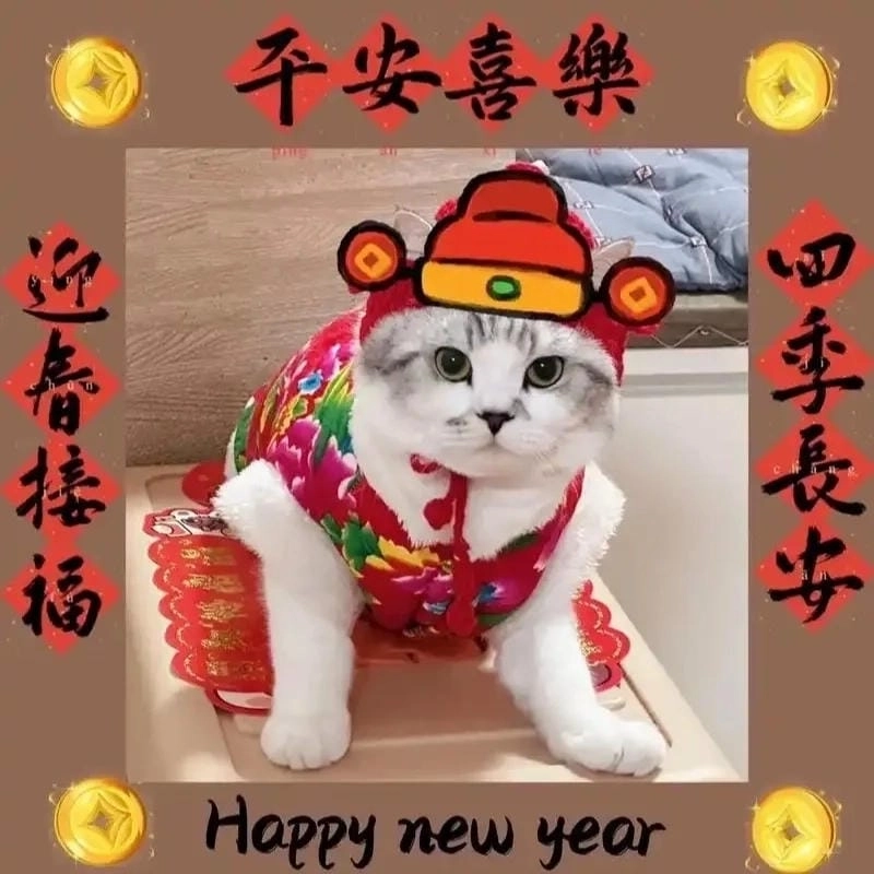 Cùng du ngoạn avatar tết meme troll