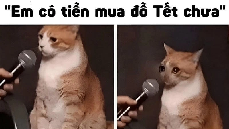 Lạc lối trong thế giới ảnh avatar tết meme