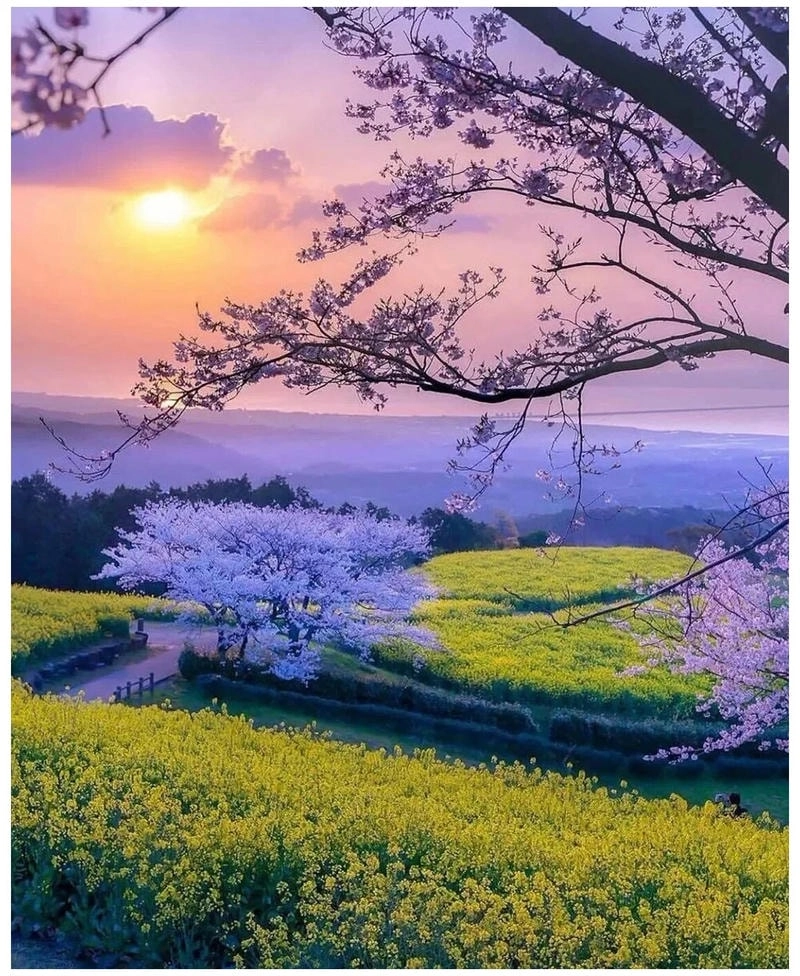 Khám phá avatar cảnh đẹp thiên nhiên tuyệt đẹp