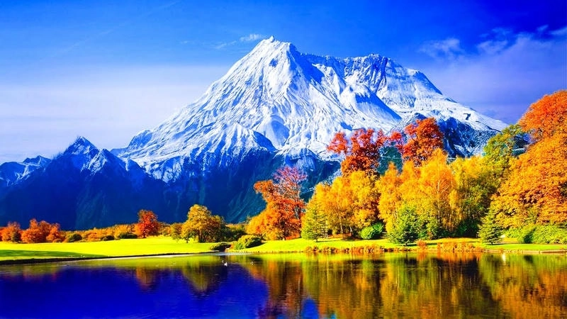 Chọn avatar phong cảnh thiên nhiên sống động