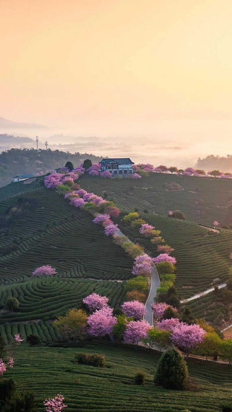 Đổi mới với hình avatar thiên nhiên tươi mới