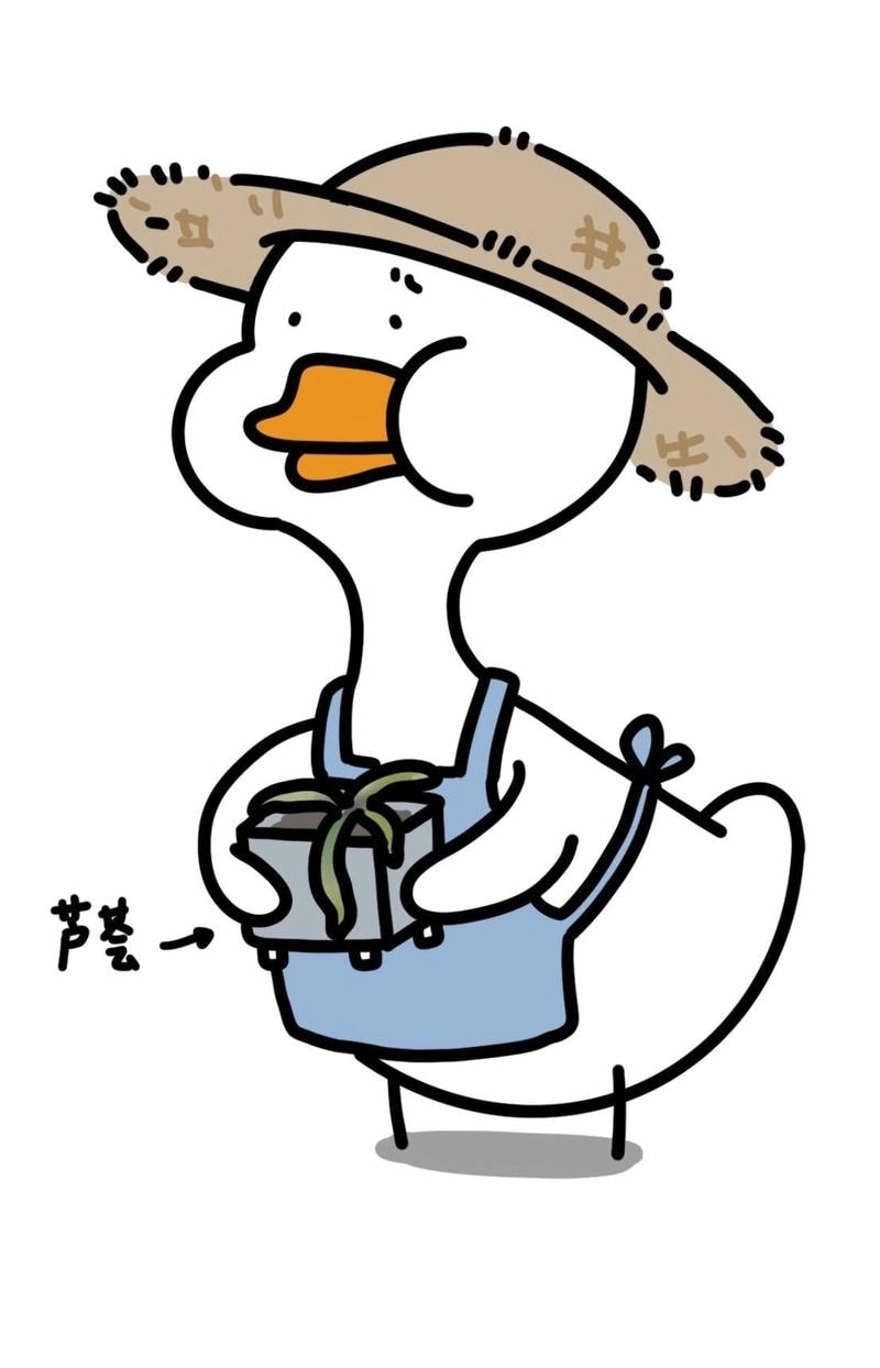 Sở hữu ảnh avatar vịt đẹp mắt và đáng yêu cho mọi nền tảng