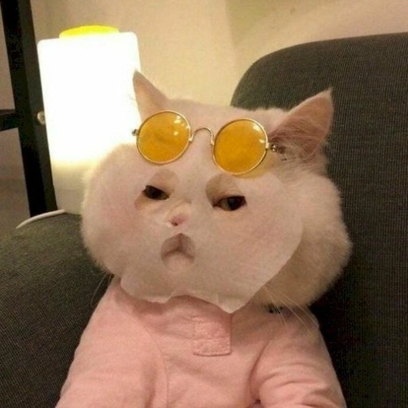 Ngắm nhìn vẻ đẹp avatar meme chất