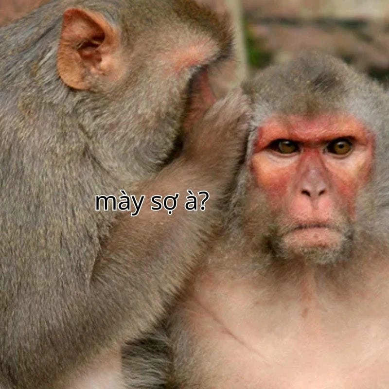 Lạc lối trong bạn sợ à meme troll