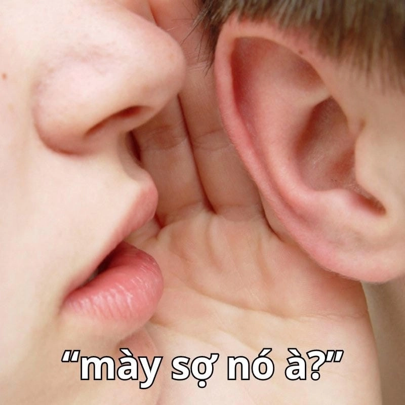 Cùng du ngoạn bạn sợ à meme độc đáo