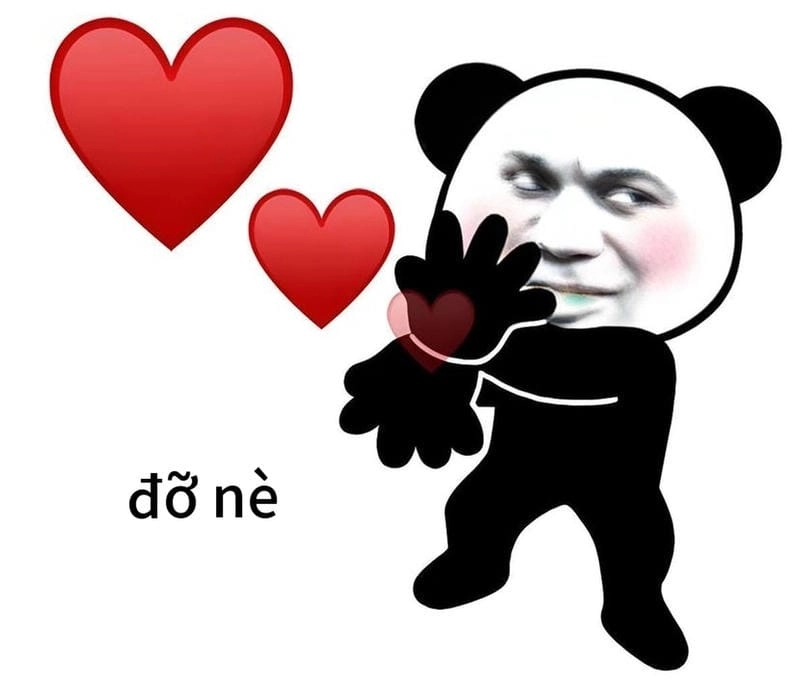 Lạc lối trong thế giới ảnh bắn tim meme