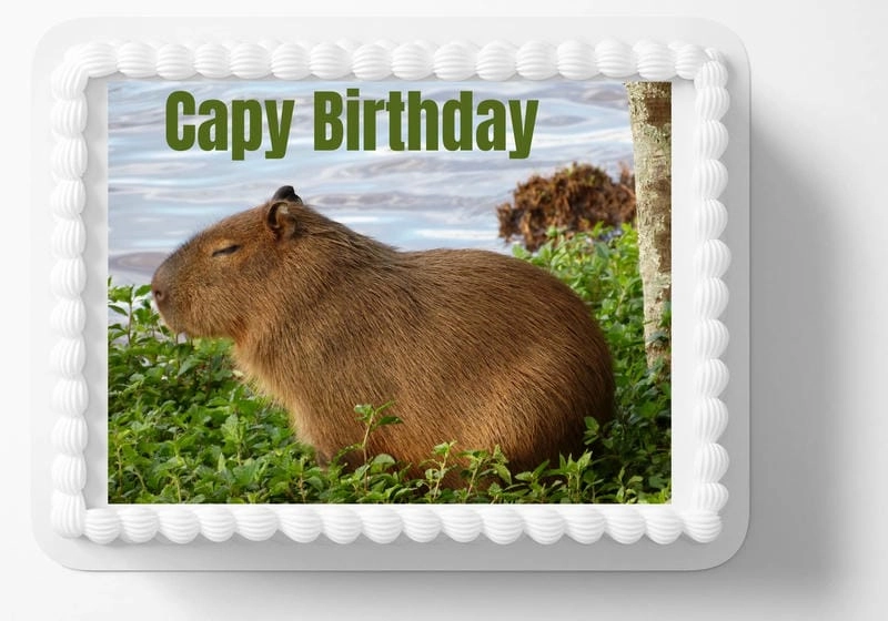 Ngắm nhìn vẻ đẹp capybara meme đáng yêu