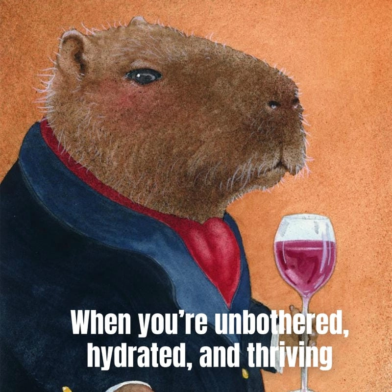 Cùng du ngoạn capybara meme đời sống