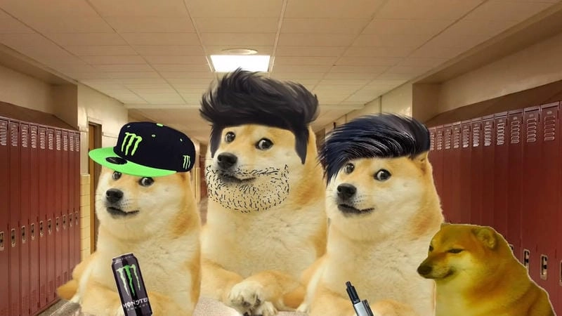 Sưu tầm những bức cheems meme vui nhộn