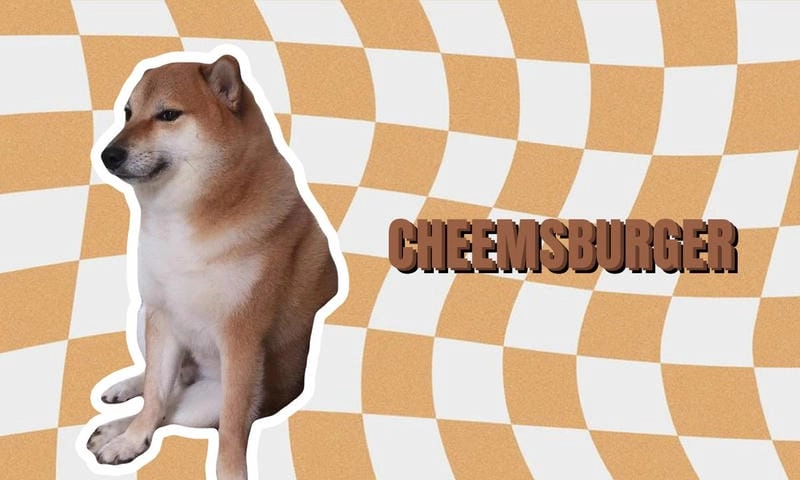 Tìm về cheems meme ngộ nghĩnh