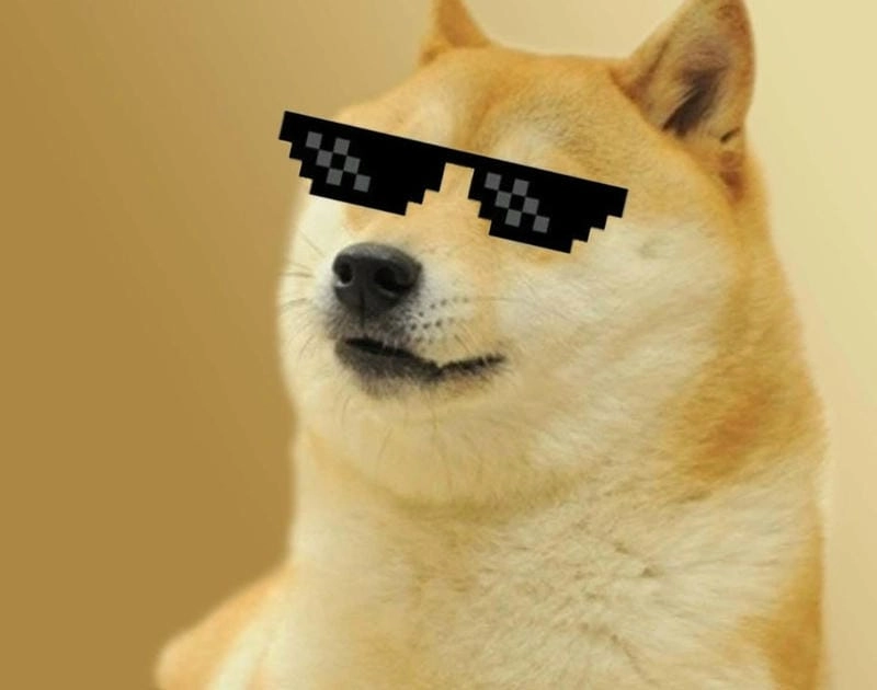 Ngắm nhìn vẻ đẹp cheems meme bá đạo