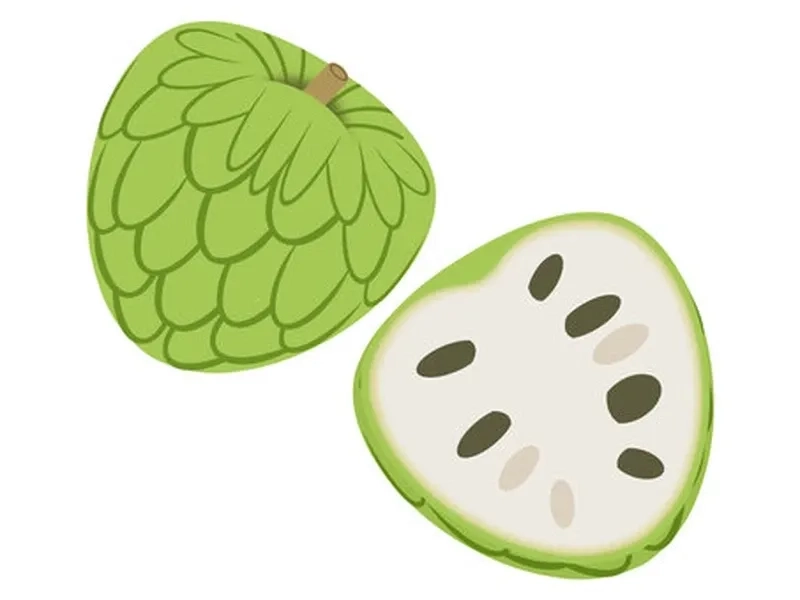 Bộ sưu tập quả na chibi độc lạ dành cho fan yêu hoa quả