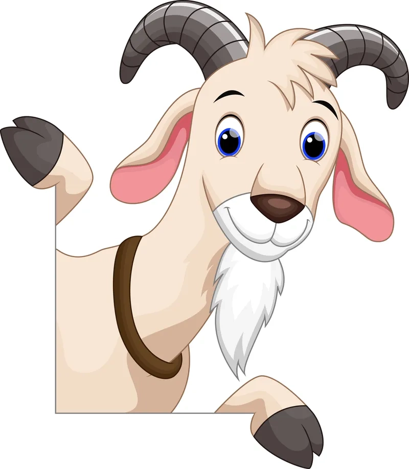 Ngắm nhìn con dê cute dễ thương khiến ai cũng tan chảy