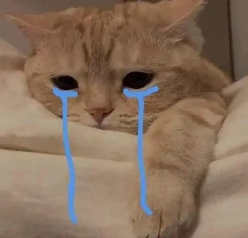 Tìm về crying cat meme new
