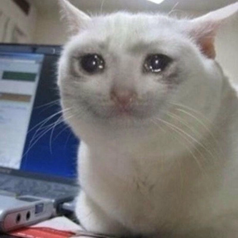 Khám phá những bức crying meme hài hước