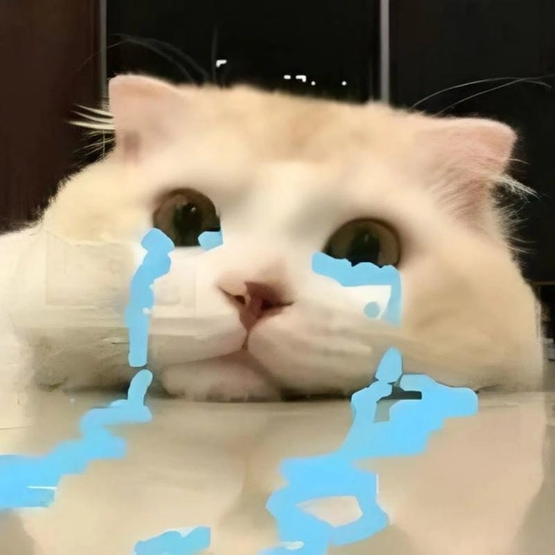 Săn lùng khoảnh khắc crying meme nổi tiếng