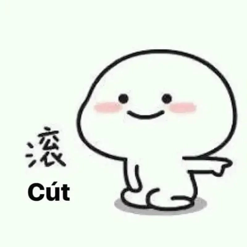 Khám phá những bức ảnh cút meme hài hước