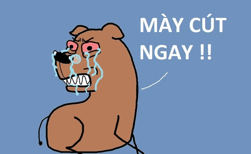 Lạc lối trong meme cút biểu cảm