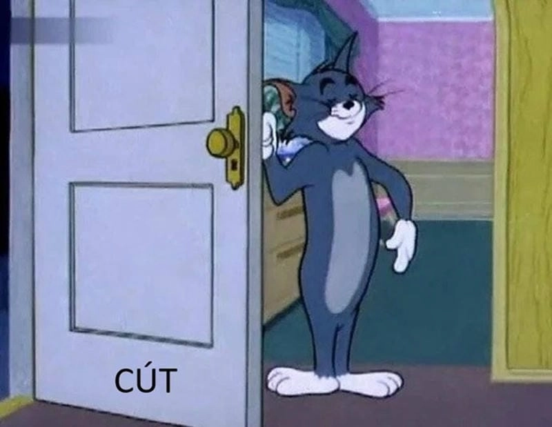 Săn lùng những khoảnh khắc cút meme buồn cười