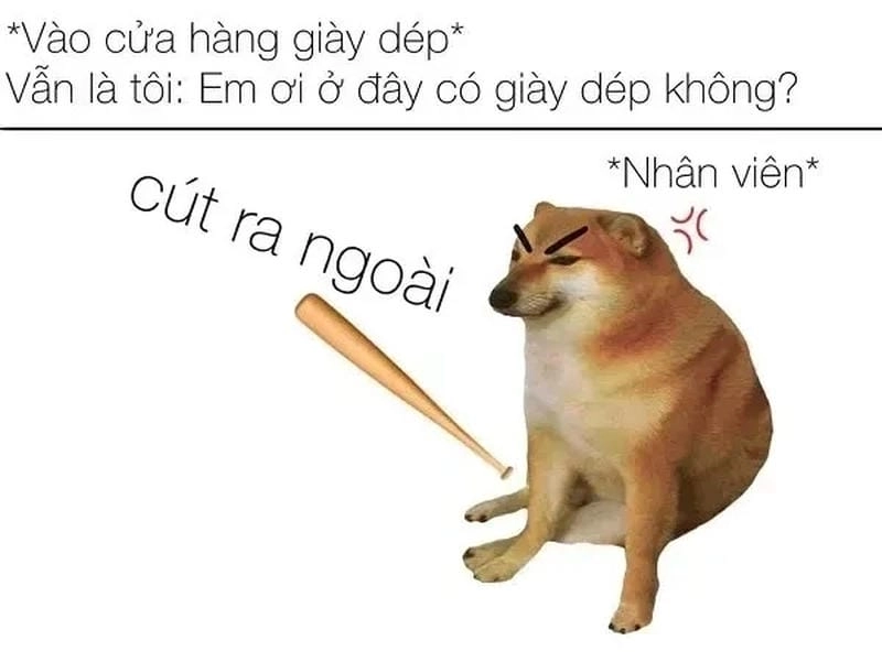 Gợi ý những bức meme cút ngầu