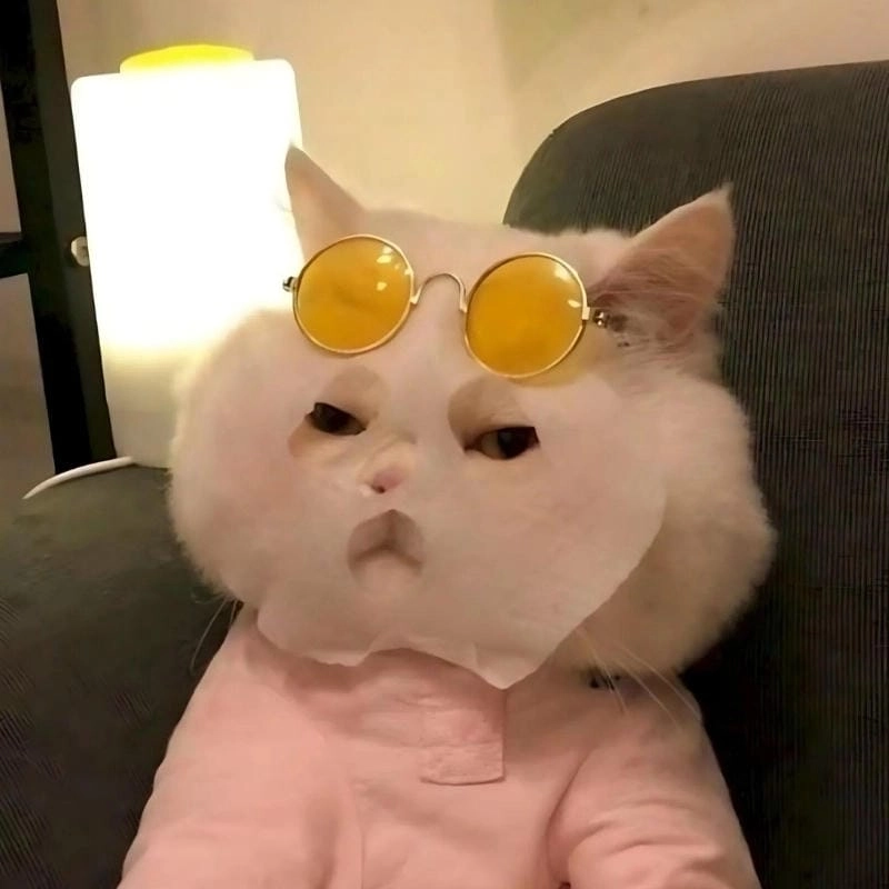 Lạc lối trong thế giới meme cute biểu cảm