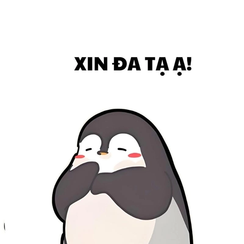 Săn lùng những khoảnh khắc ảnh đa tạ meme