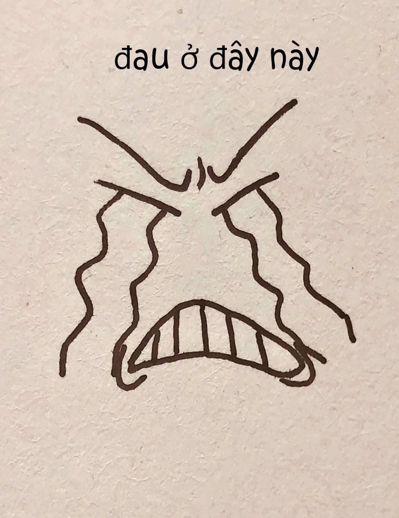 Săn lùng những khoảnh khắc ảnh meme đau ở đây này