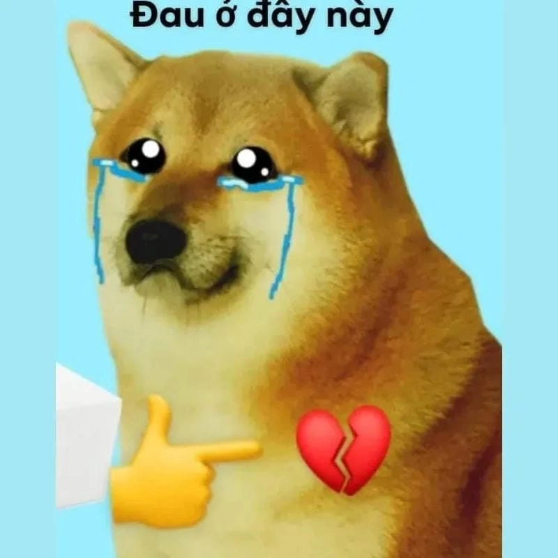 Gợi ý những bức meme “đau ở đây này” bá đạo