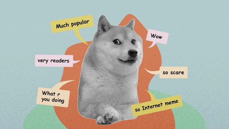 Thức dậy cùng những hình doge meme cute