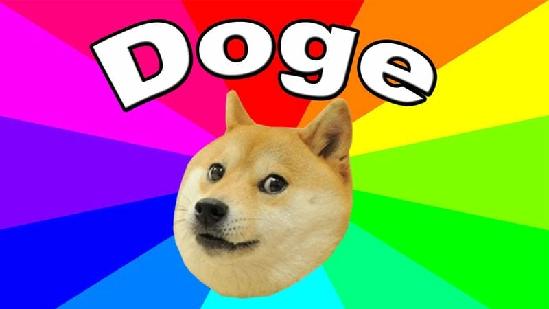 Lạc lối trong thế giới doge meme dễ thương