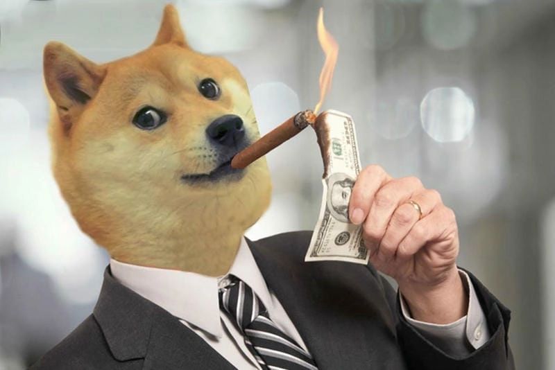 Gợi ý những bức doge meme đáng yêu