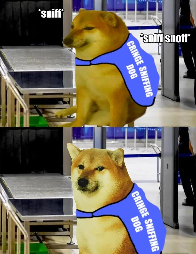 Sưu tầm những bức doge meme chế