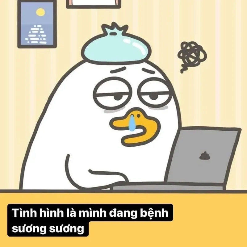Ngắm nhìn vẻ đẹp duck meme wholesome