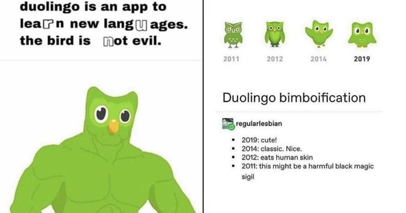 Gợi ý những bức meme duolingo bá đạo