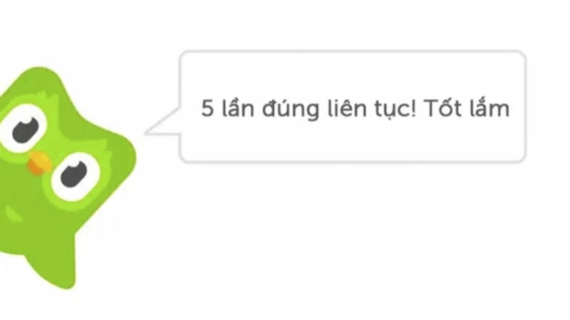 Lạc lối trong thế giới meme duolingo vui nhộn