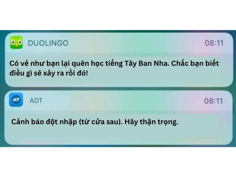 Tìm về meme duolingo ngộ nghĩnh
