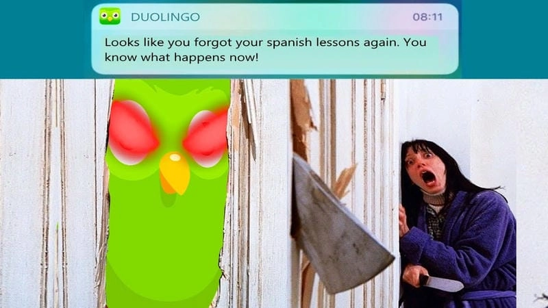 Khám phá những bức ảnh meme duolingo hài hước