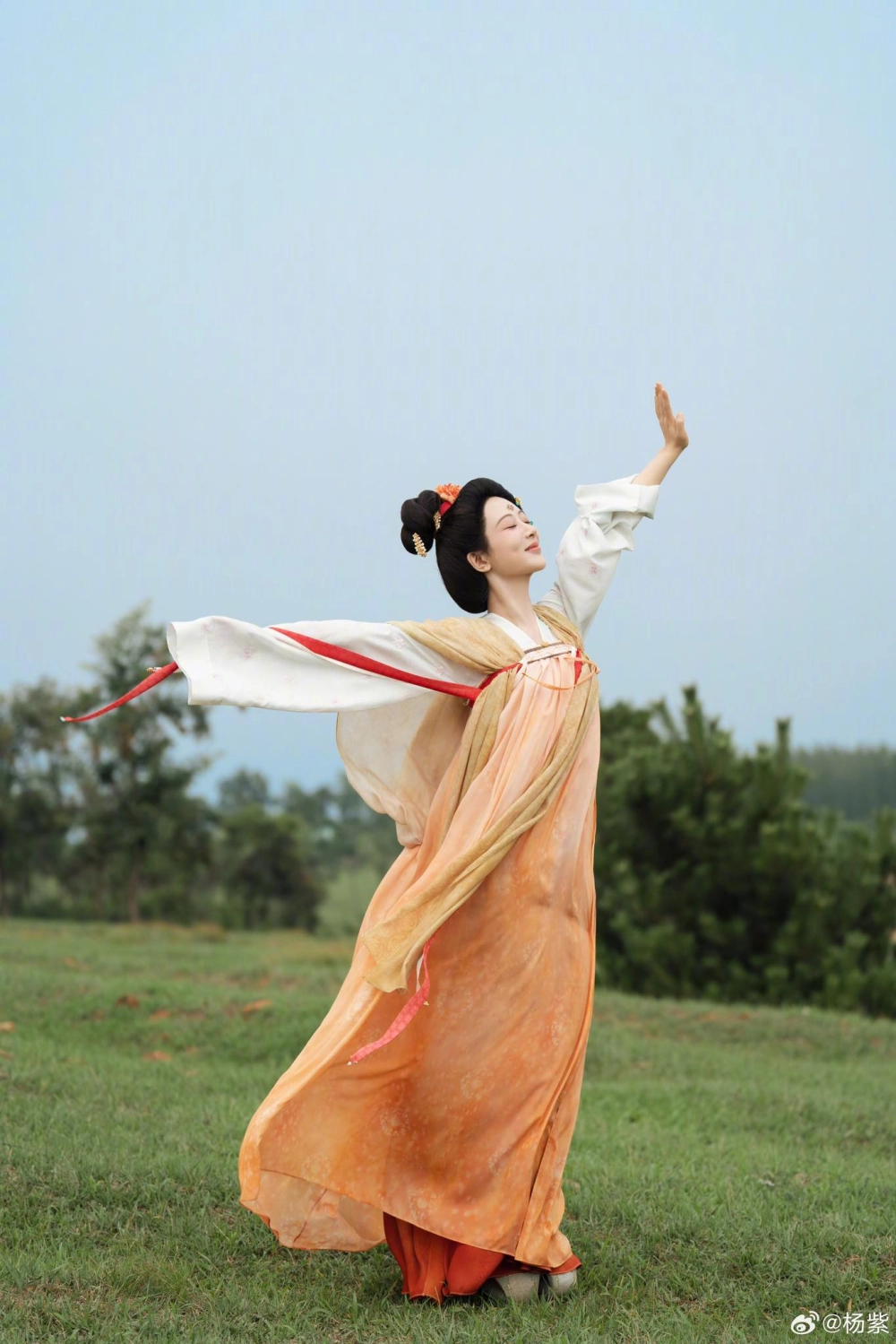 Những bộ phim của Dương Tử đều tạo tiếng vang lớn